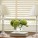 Venetian blinds