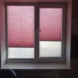 Pleated blinds