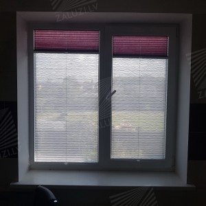 Pleated blinds