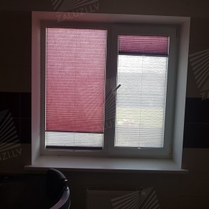 Pleated blinds