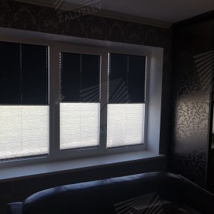 Pleated blinds