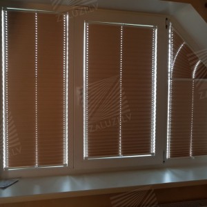 Pleated blinds