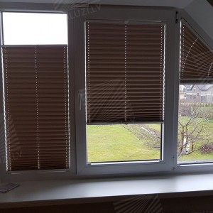 Pleated blinds