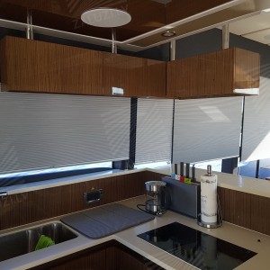 Pleated blinds