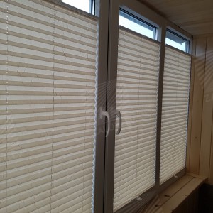 Pleated blinds