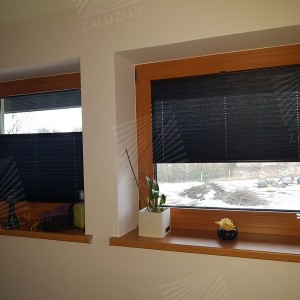 Pleated blinds