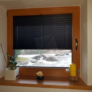 Pleated blinds