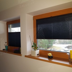 Pleated blinds
