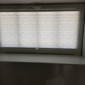 Pleated blinds