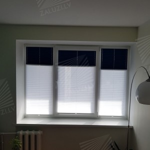 Pleated blinds