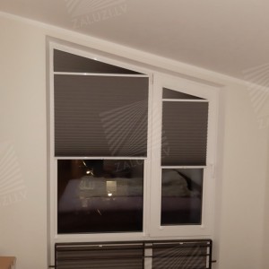 Pleated blinds