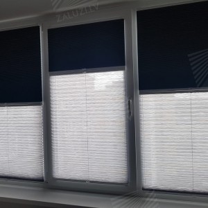 Pleated blinds