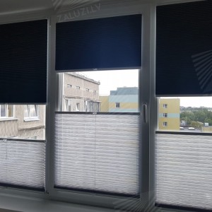 Pleated blinds