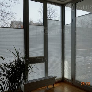 Pleated blinds