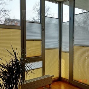 Pleated blinds