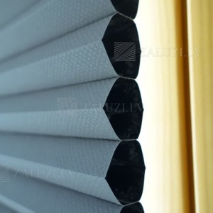 Pleated blinds