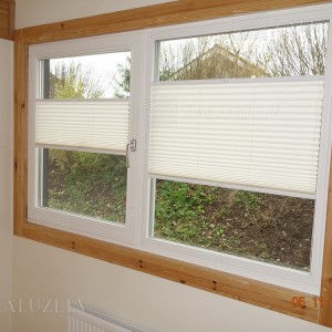 Pleated blinds