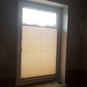 Pleated blinds