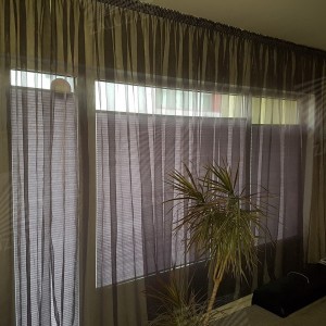 Pleated blinds