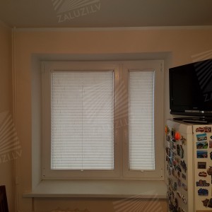Pleated blinds