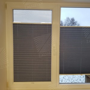 Pleated blinds
