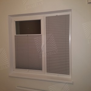 Pleated blinds