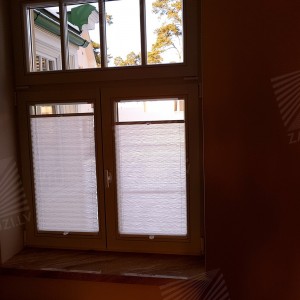 Pleated blinds
