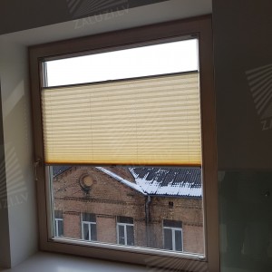 Pleated blinds