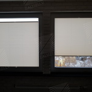 Pleated blinds