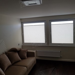 Pleated blinds