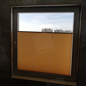 Pleated blinds