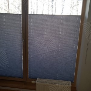 Pleated blinds