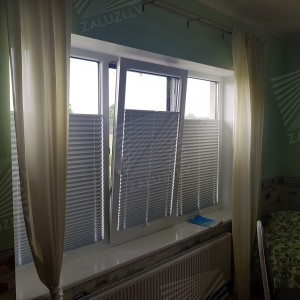 Pleated blinds