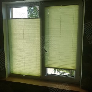 Pleated blinds