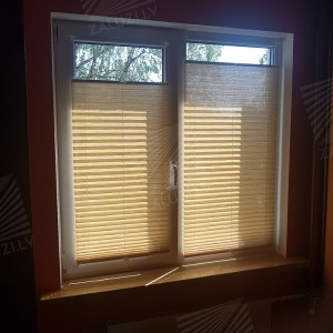 Pleated blinds