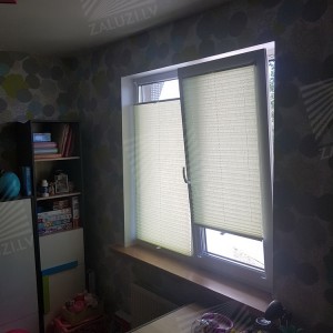 Pleated blinds