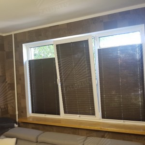 Pleated blinds