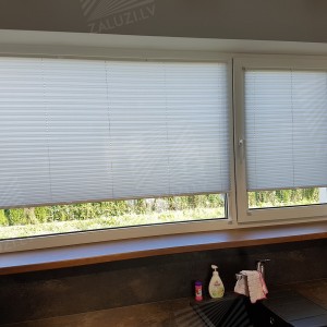 Pleated blinds