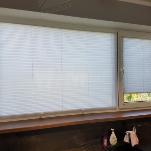 Pleated blinds