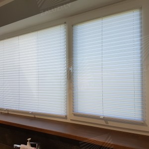 Pleated blinds