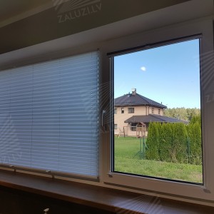 Pleated blinds