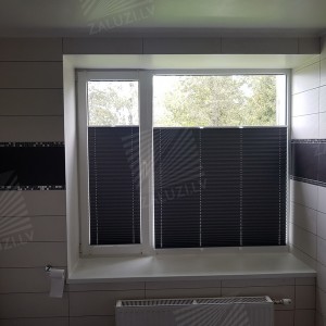 Pleated blinds