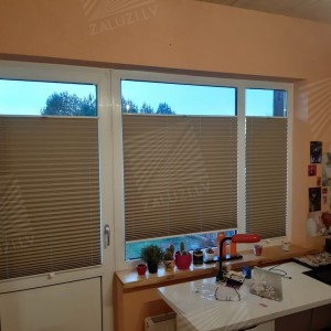 Pleated blinds