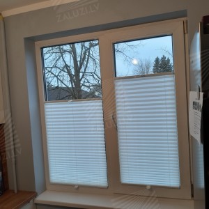 Pleated blinds