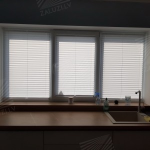 Pleated blinds