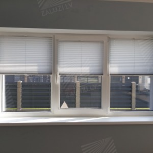 Pleated blinds