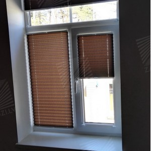 Pleated blinds