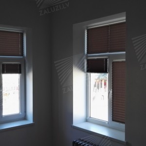 Pleated blinds