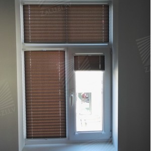 Pleated blinds