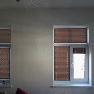 Pleated blinds